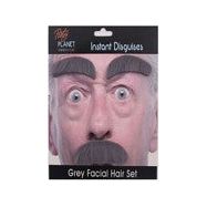 Facial Hair Set - Grey - Dollars and Sense