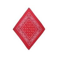 Bandana - Red - Dollars and Sense