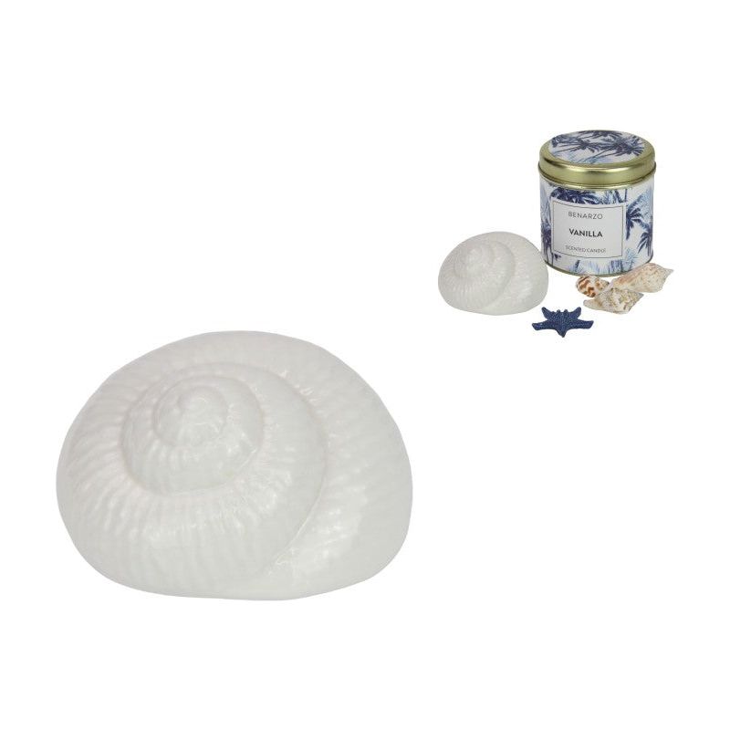 Shell Decor - Ceramic - Dollars and Sense