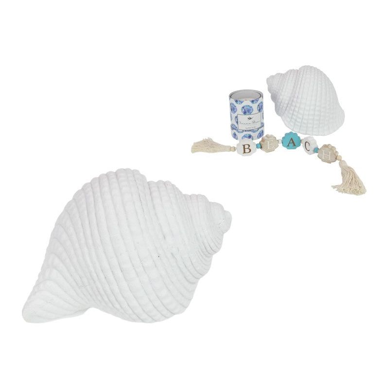 Cone Shell - Decor - Dollars and Sense