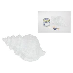 Spiral Cone Shell Decor - White - Dollars and Sense