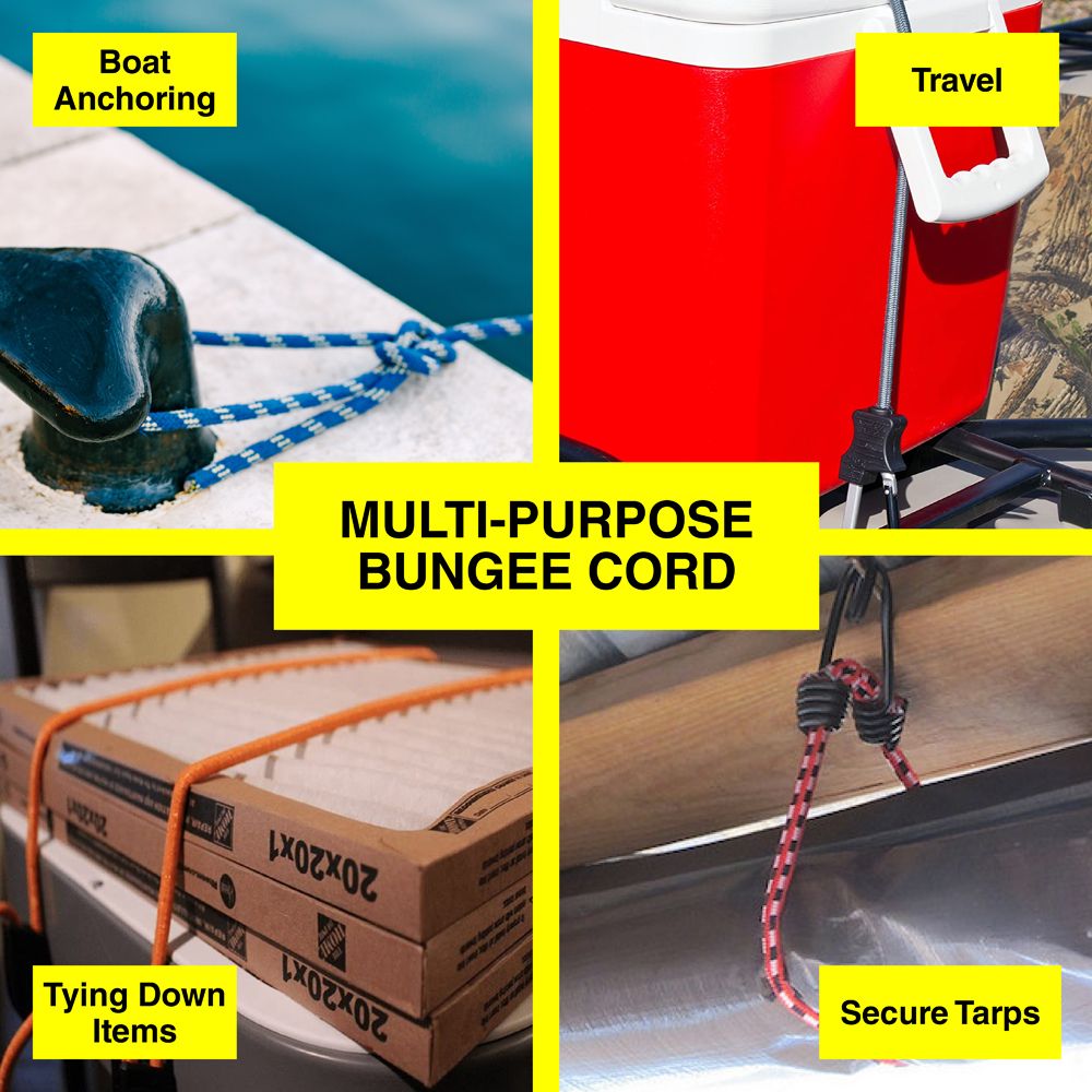 Bungee Cords - Red & Blue - Dollars and Sense