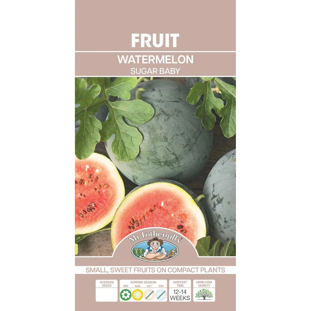 Watermelon Sugar Baby Seeds - Dollars and Sense