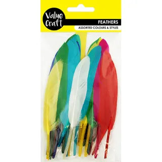 Feather Craft Bright Assorted - Bright - Dollars and Sense