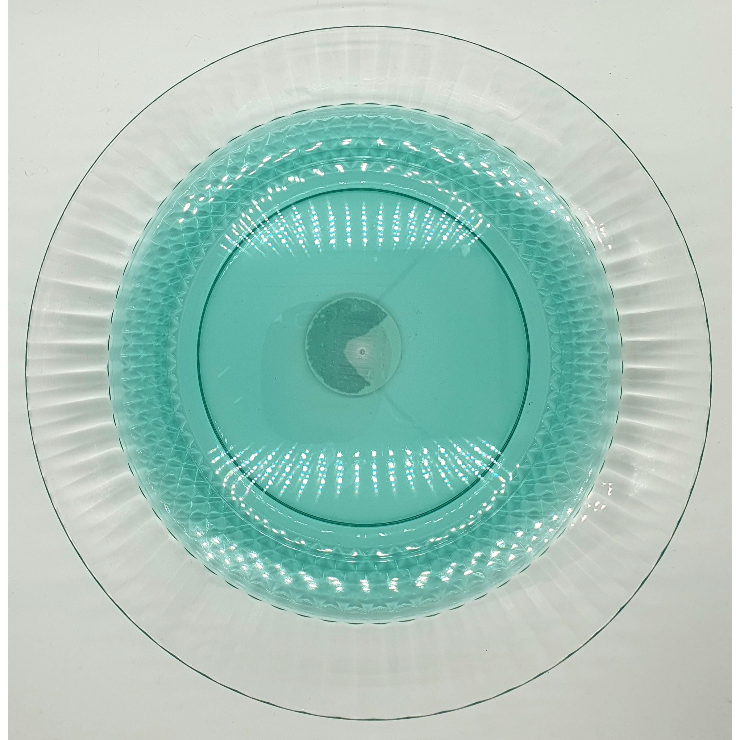 Plastic Plate - Large - Dollars and Sense