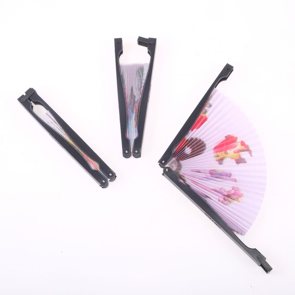 Folding Hand Fan - Dollars and Sense
