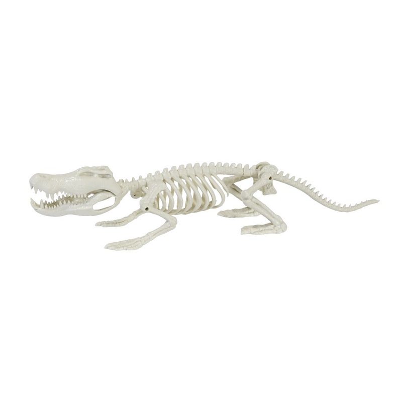 Crocodile Skeleton Halloween Decoration 62cm