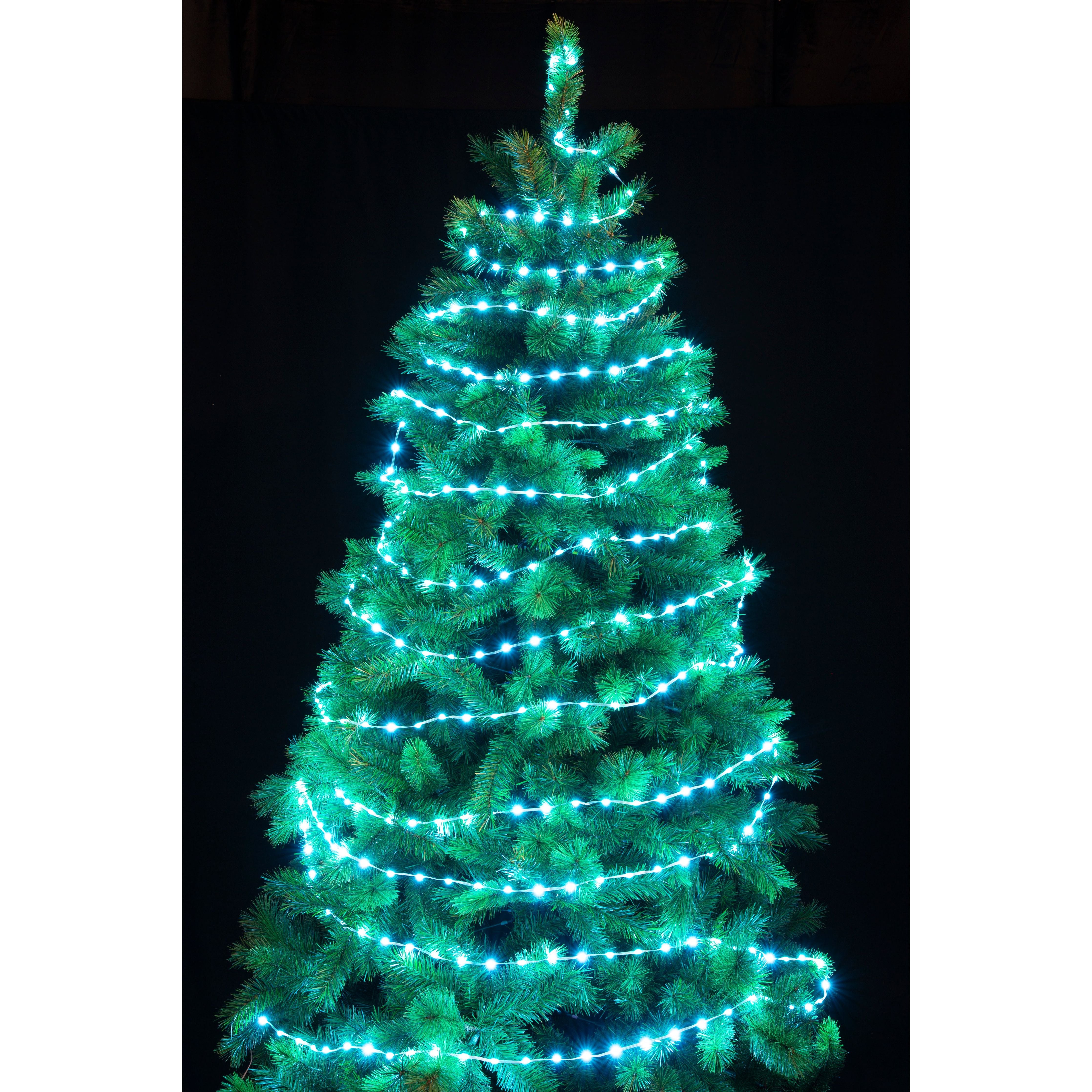 Flexi Strip Lights - LED - Dollars and Sense