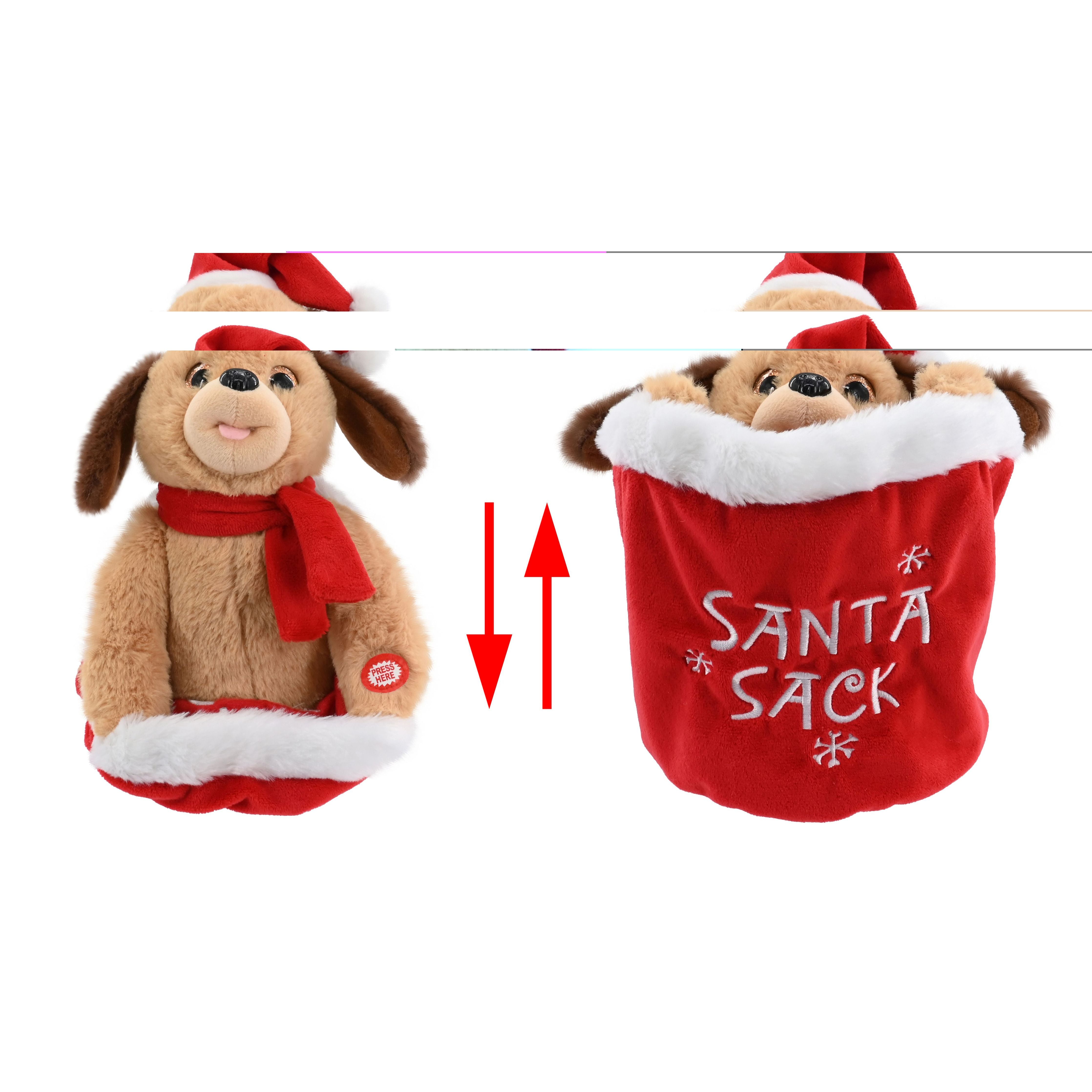 Hide N Seek Character In Santa Sack - Dollars and Sense