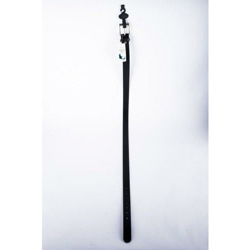 Belt - Casual - Dollars and Sense