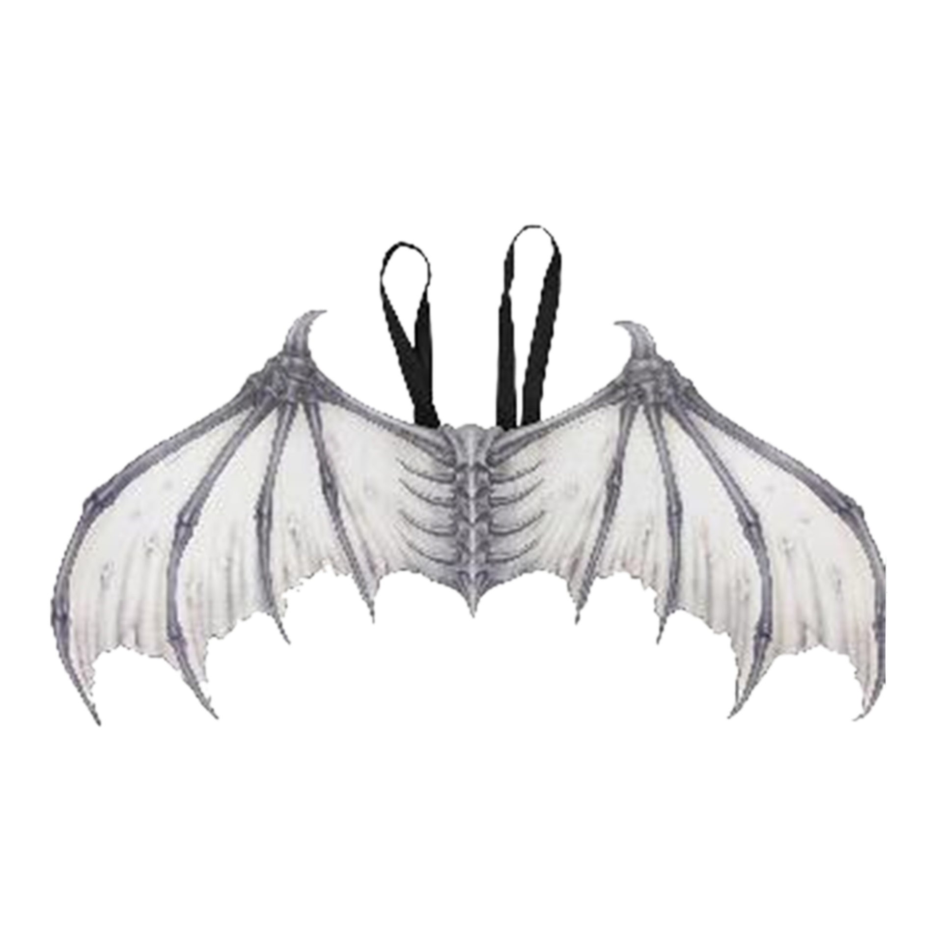 Halloween - Skeleton Bat Wings - Dollars and Sense
