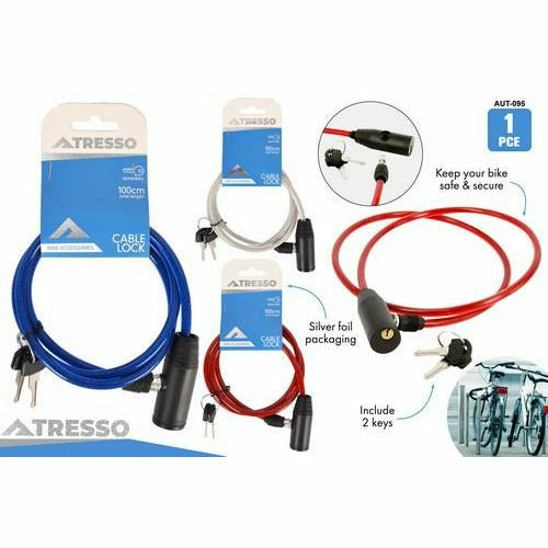 Bike Cable Lock with 2 Keys - Dollars and Sense