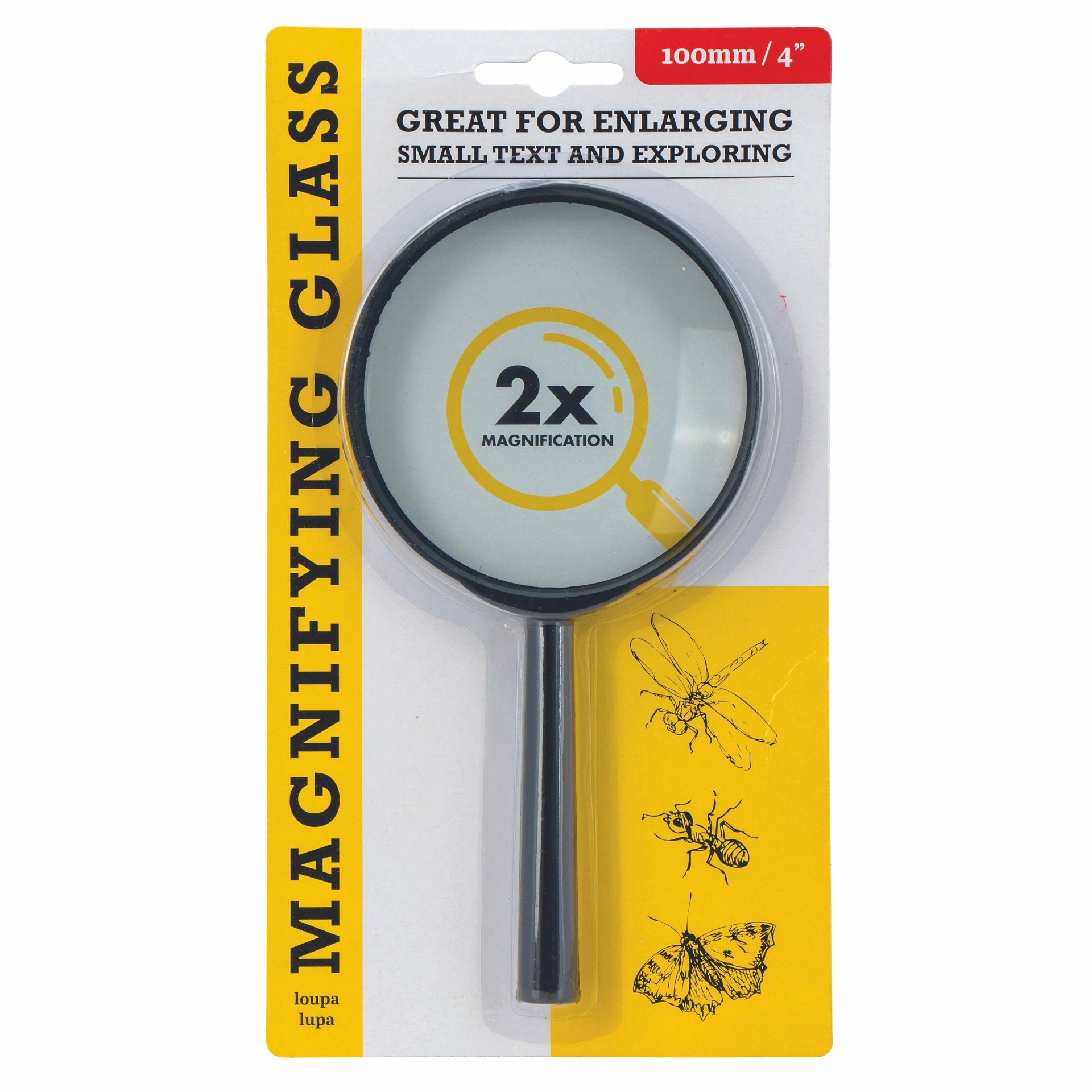 Magnifying Glass - X 2 - Dollars and Sense