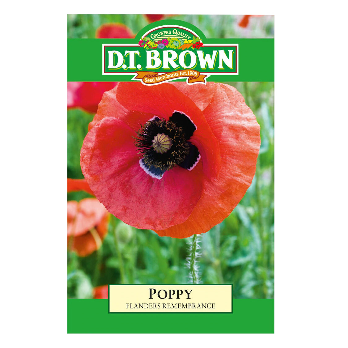Poppy Flanders Red Seeds - Dollars and Sense