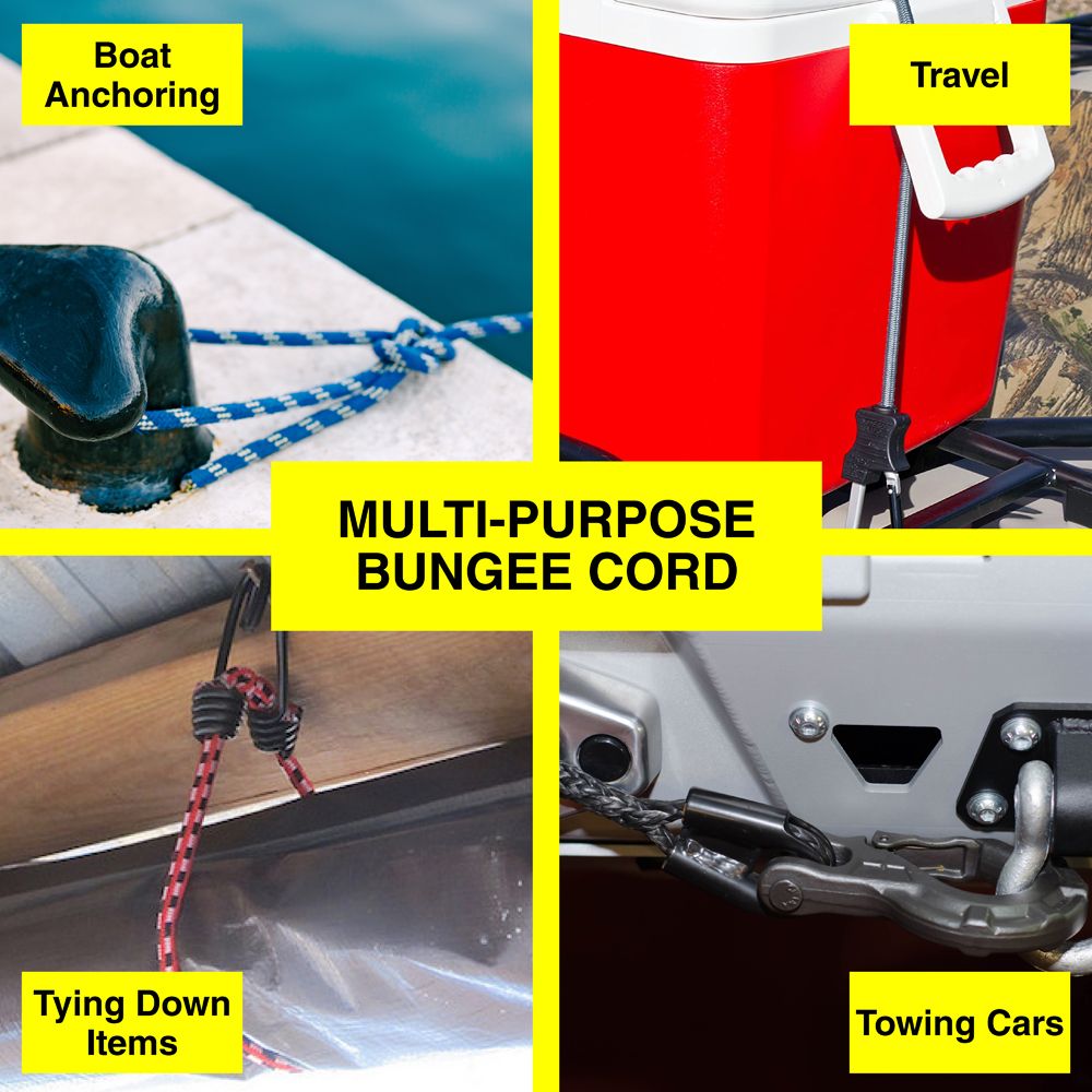 Flat Bungee Cord Strap - Heavy Duty - Dollars and Sense
