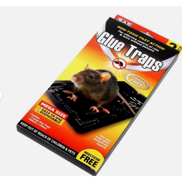 Rodent Glue Traps Large 26x14cm 2pack - Dollars and Sense