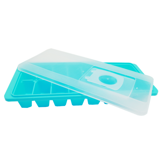 Ice Cube Tray with Lid - Dollars and Sense