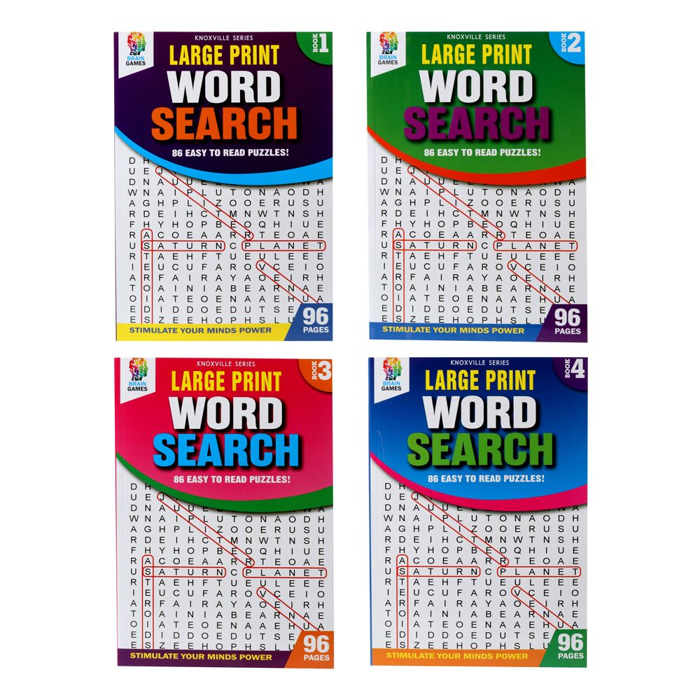 Word Search Book - Large Print - Dollars and Sense