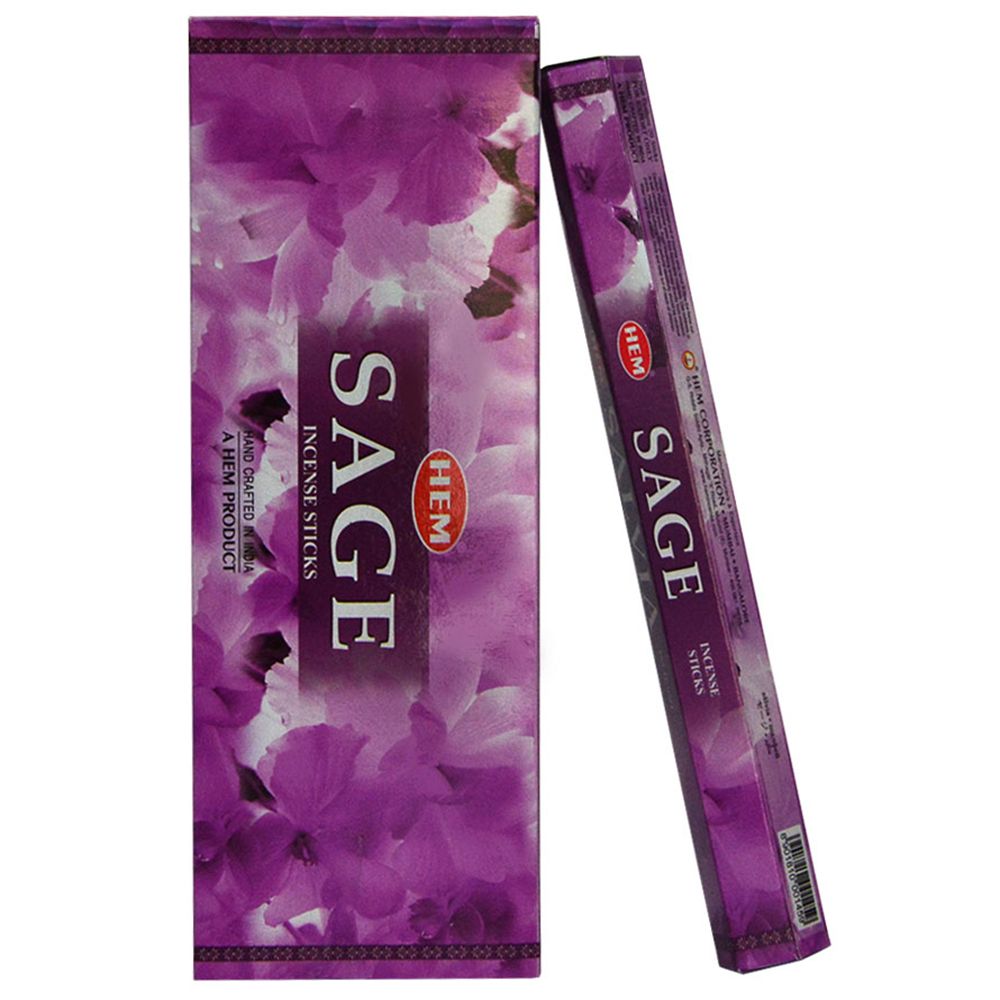 HEM Incense - Sage - Dollars and Sense
