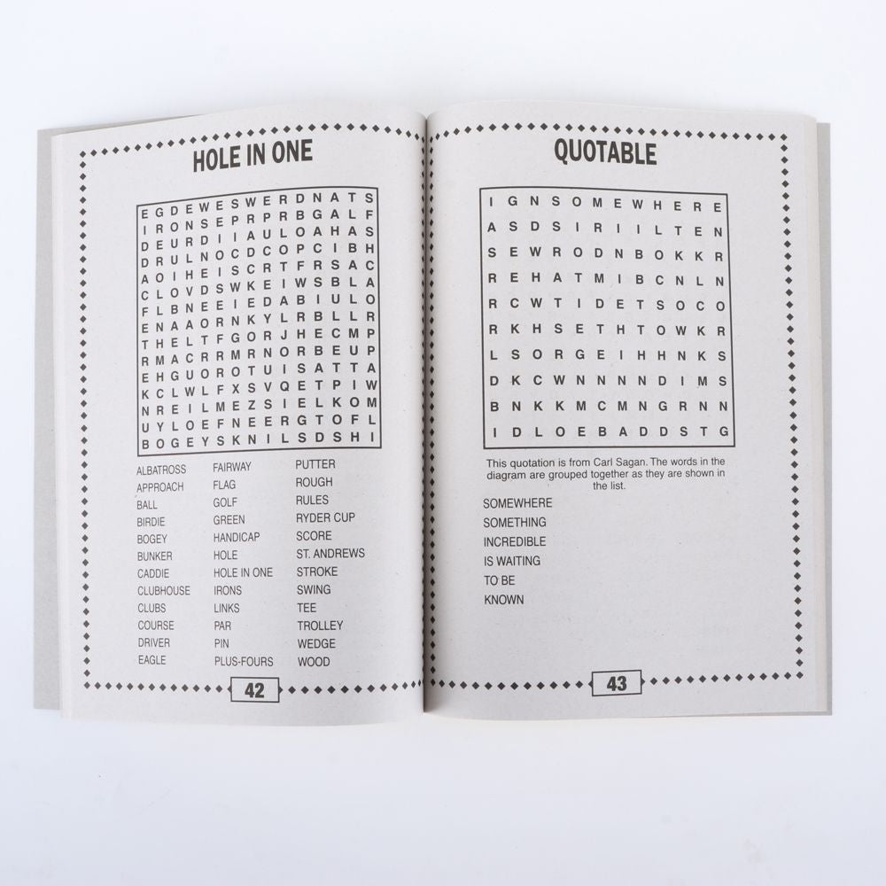 Word Search Book - Large Print - Dollars and Sense