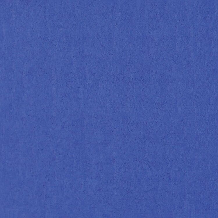 Crepe Paper Sheet - Blue - Dollars and Sense