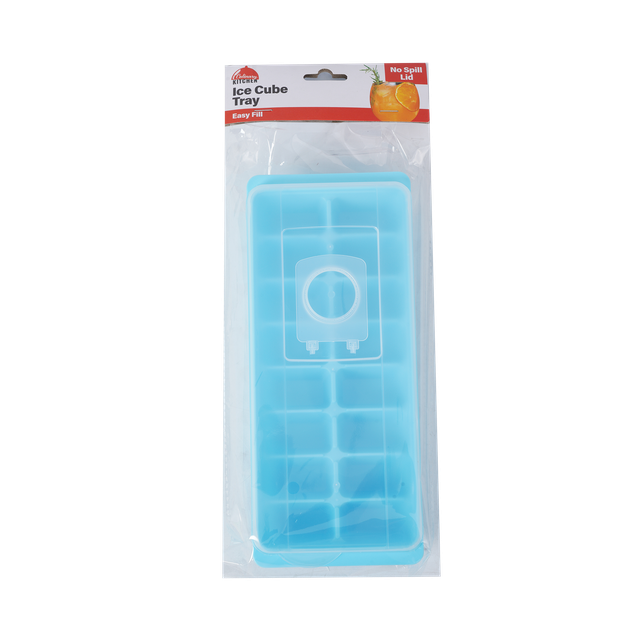 Ice Cube Tray with Lid - Dollars and Sense