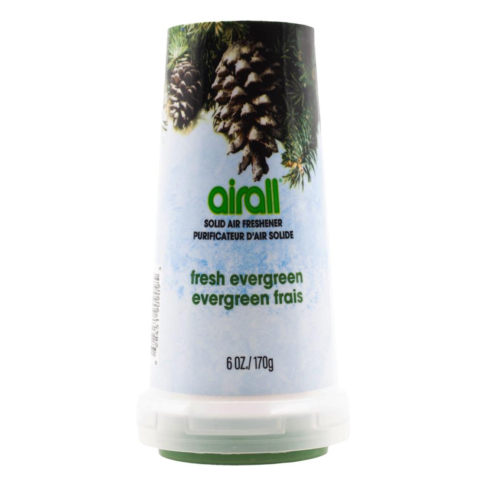 Airall Solid Air Freshener - Evergreen - Dollars and Sense