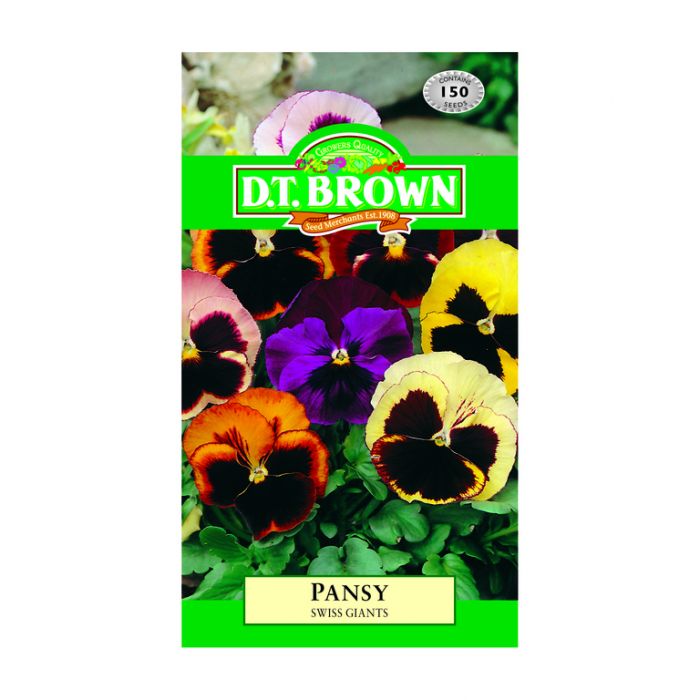 Buy DT Brown Pansy Swiss Giants Seeds | Dollars and Sense