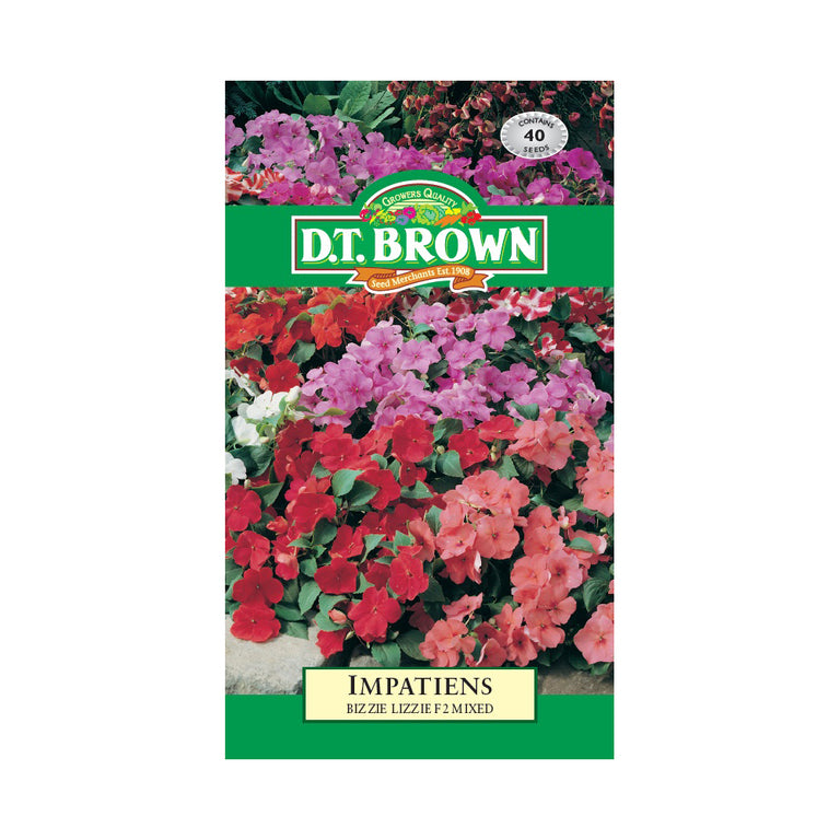 Buy DT Brown Impatiens Bizzi Lizzi Seeds | Dollars and Sense