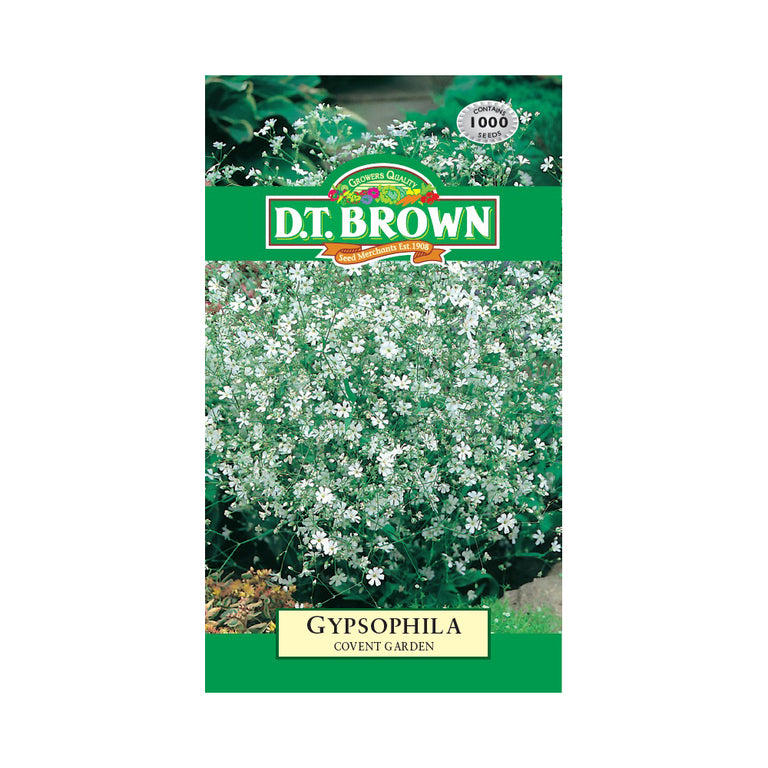 Buy DT Brown Gypsophilia Covent Garden Seeds | Dollars and Sense
