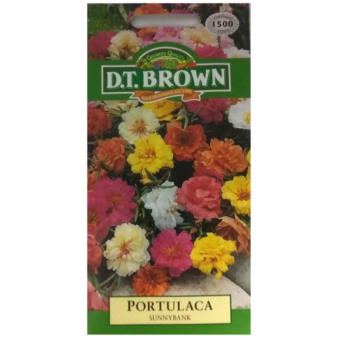 Buy DT Brown Portulaca Sunnybank Seeds | Dollars and Sense