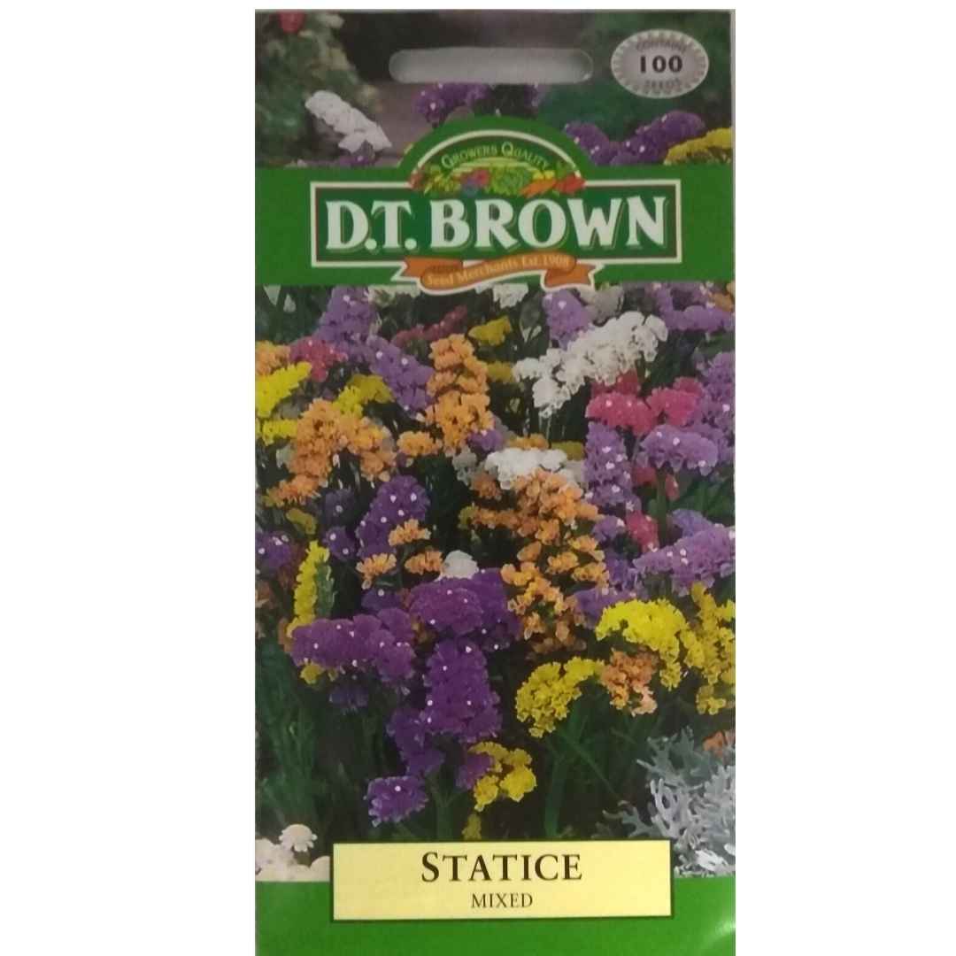 Buy DT Brown Statice Mixed Seeds | Dollars and Sense