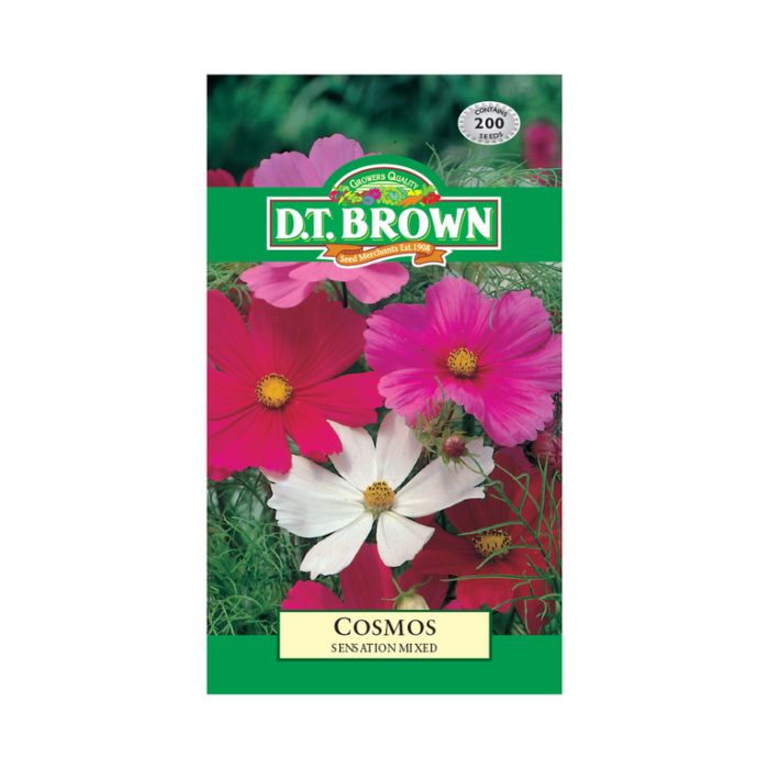 Buy DT Brown Cosmos Sensation Seeds | Dollars and Sense