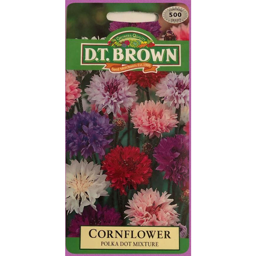 Cornflower Polka Dot Seeds - Dollars and Sense