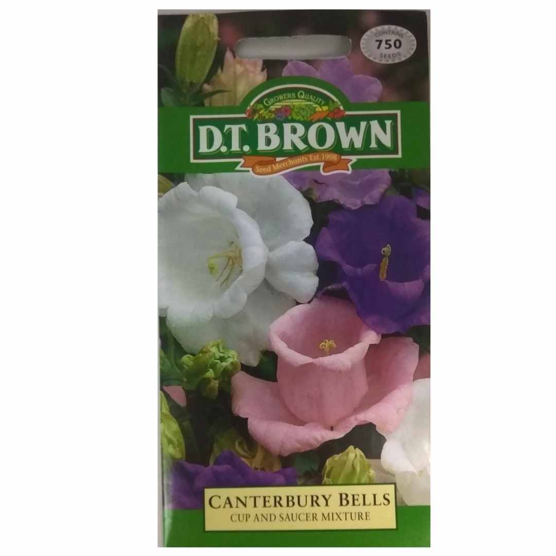 Buy DT Brown Canterbury Bells C & S Seeds | Dollars and Sense