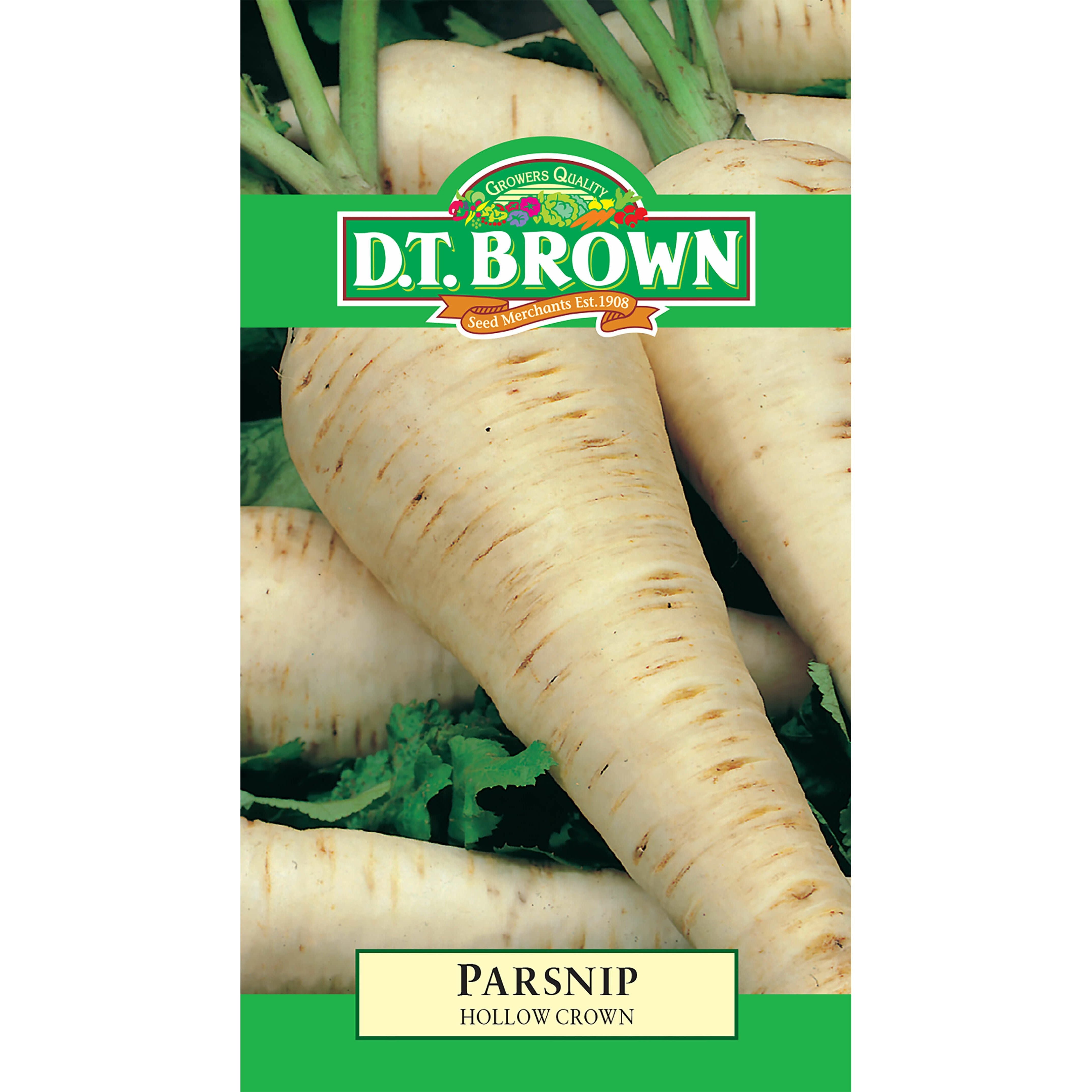 Parsnip Hollow Crown Seeds - Dollars and Sense