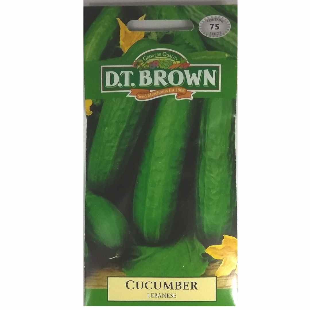 Buy DT Brown Cucumber Lebanese Seeds | Dollars and Sense