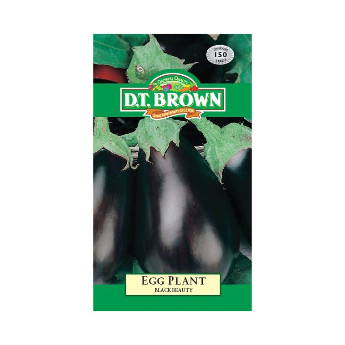 Buy DT Brown Egg Plant Black Beauty Seeds | Dollars and Sense