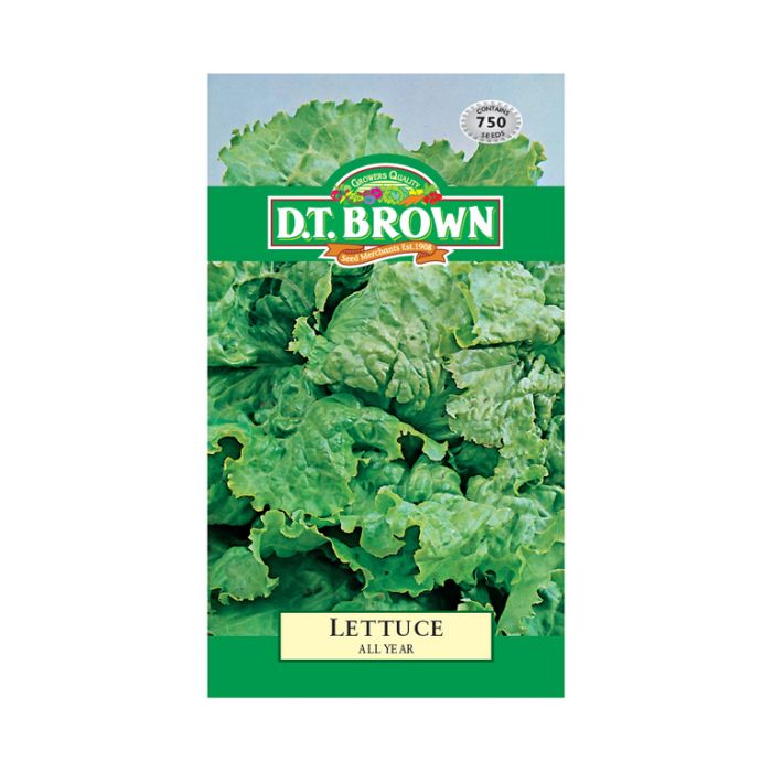 Buy DT Brown Lettuce All Year Seeds | Dollars and Sense