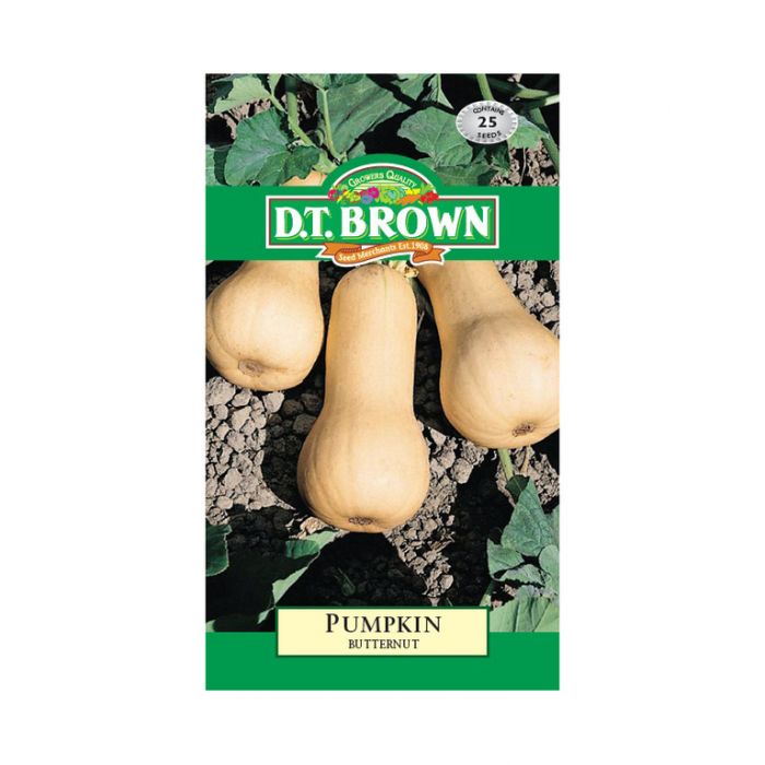 Buy DT Brown Pumpkin Butternut Seeds | Dollars and Sense
