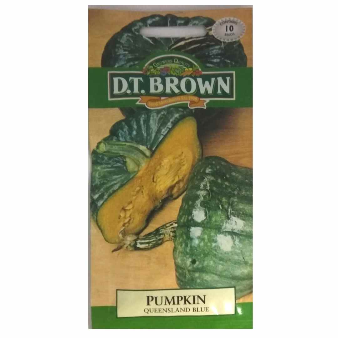 Buy DT Brown Pumkin Qld Blue Seeds | Dollars and Sense