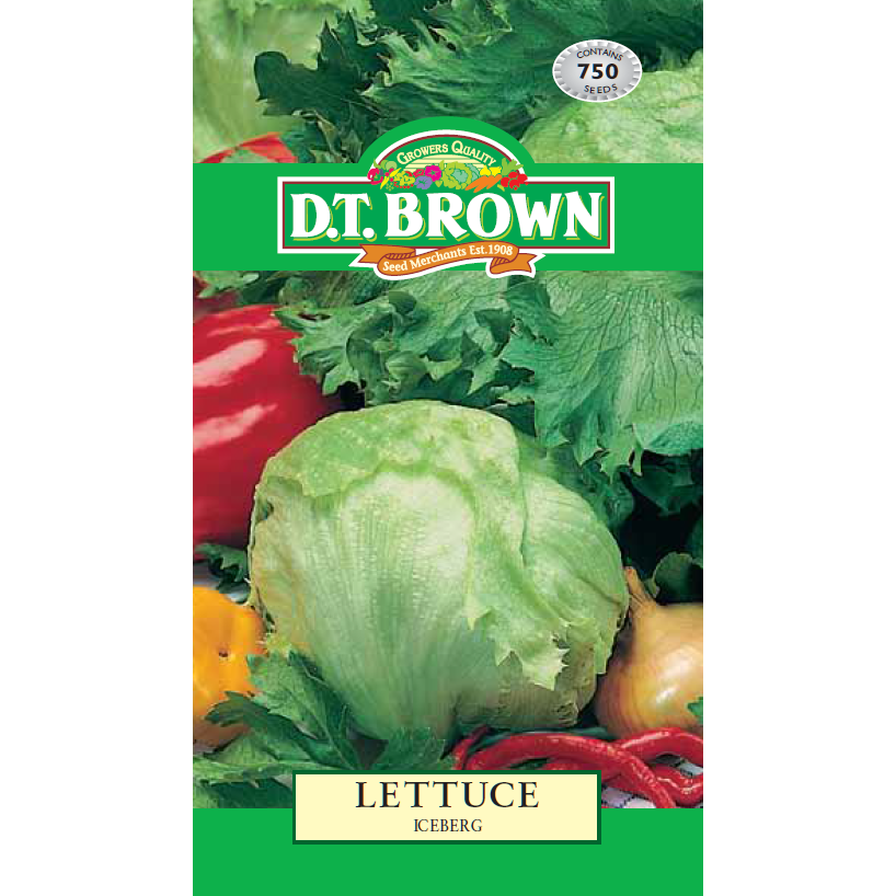 Lettuce Iceburg Seeds - Dollars and Sense