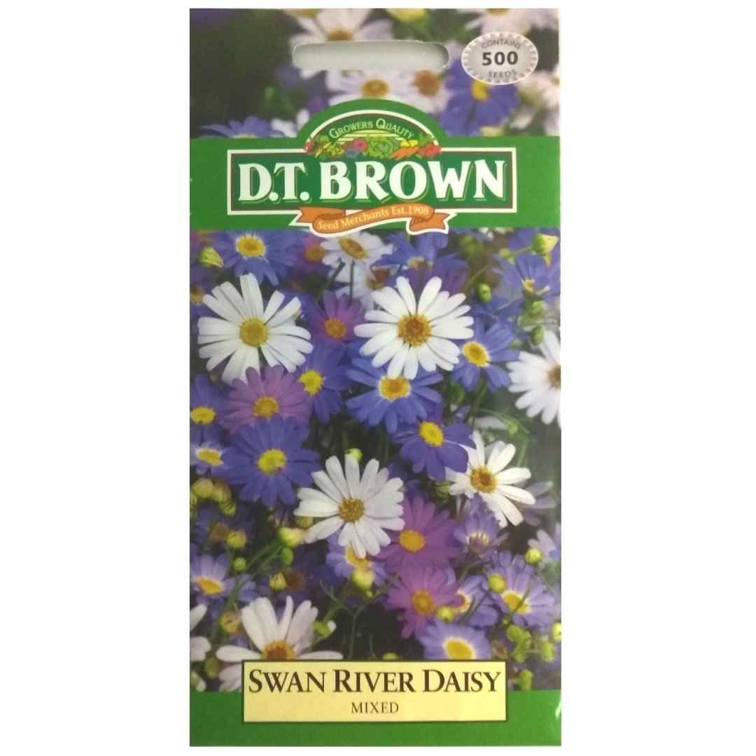 Buy DT Brown Swan River Daisy Mixed Seeds | Dollars and Sense