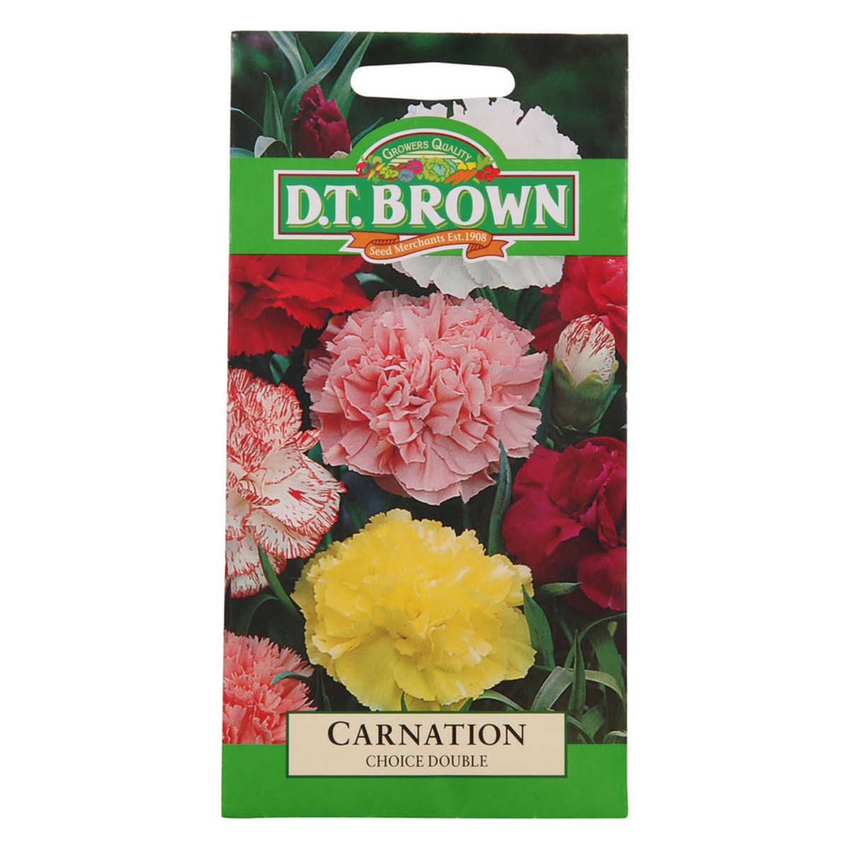 Buy DT Brown Carnation Choice Double Seeds | Dollars and Sense