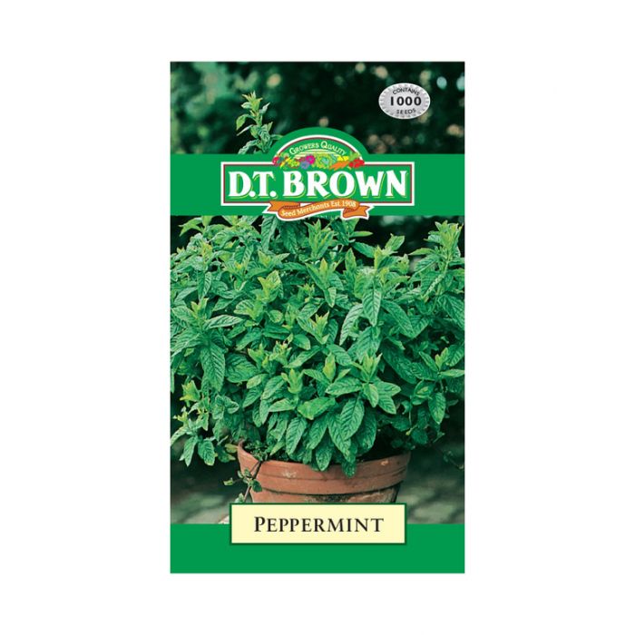 Buy DT Brown Peppermint Seeeds | Dollars and Sense