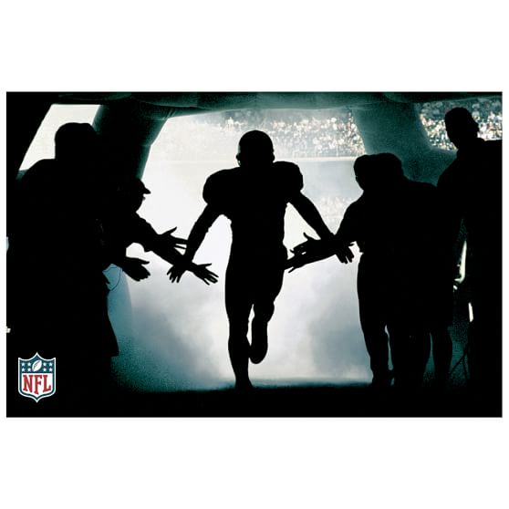 Fabric Wall Mural NFL Rush the Field Default Title