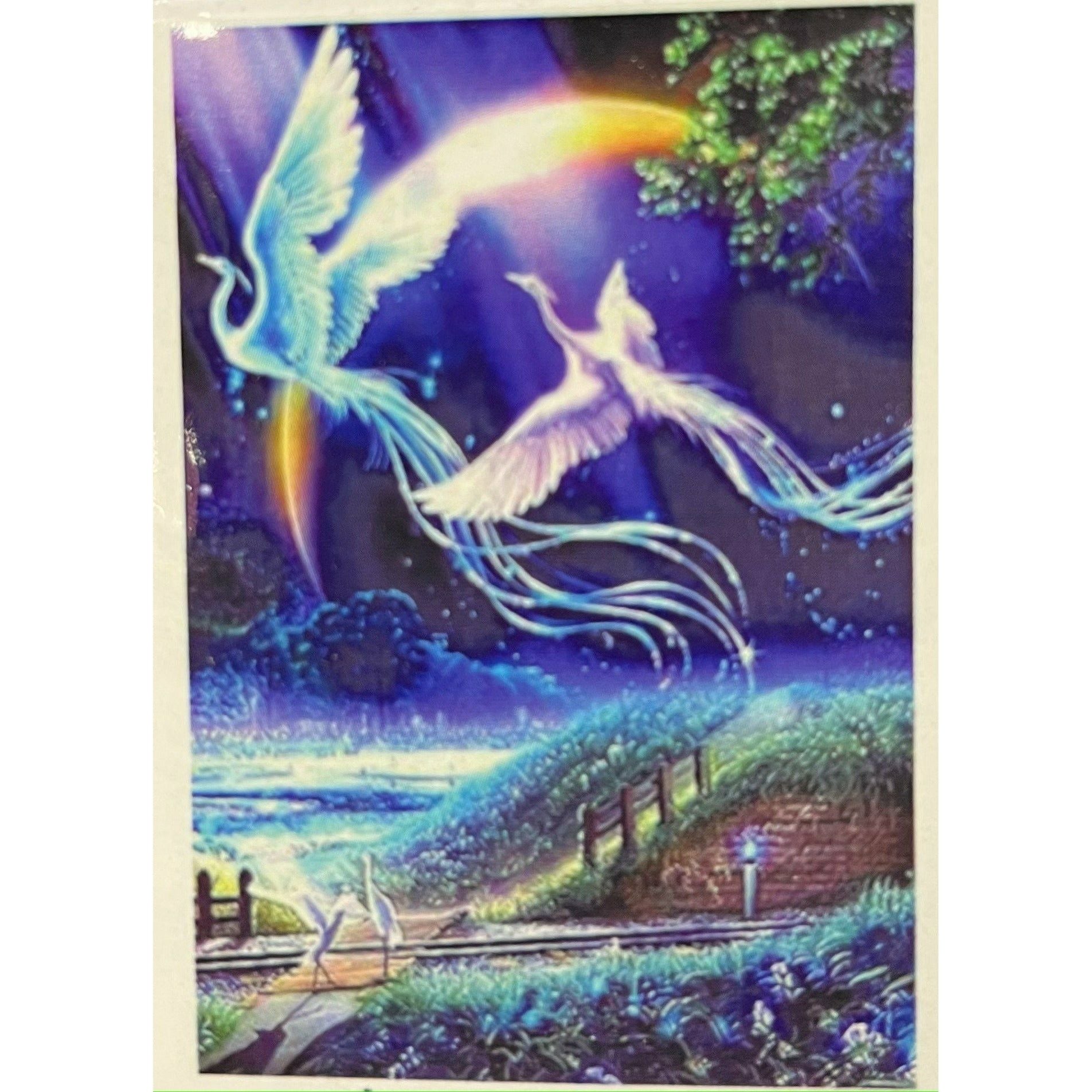 Diamond Art Kit 30x40cm Mystical Phoenix - Dollars and Sense