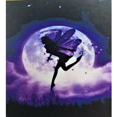 Diamond Art Kit - 30x40cm Moon & Fairy - Dollars and Sense