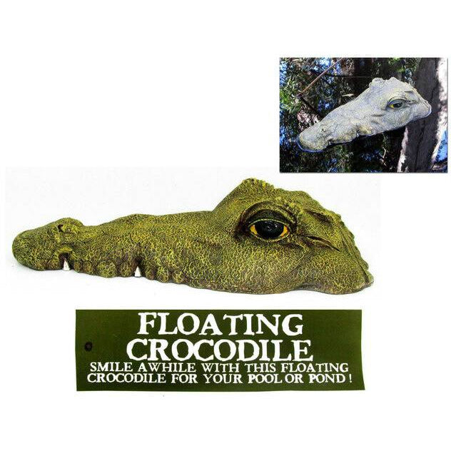 Floating Crocodile with Mouth Closed - Dollars and Sense