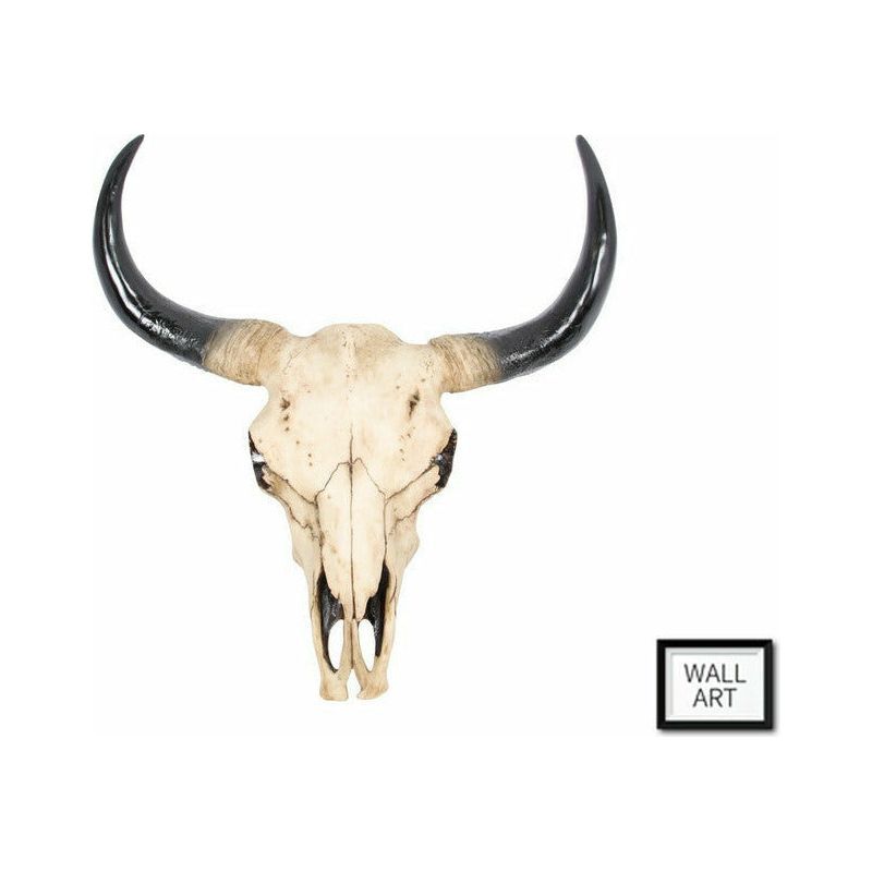 Wall Hanger Cow Skull - 44cm - Dollars and Sense